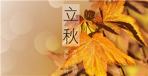 【立秋】來臨，卅亞和您共同迎接秋天的到來